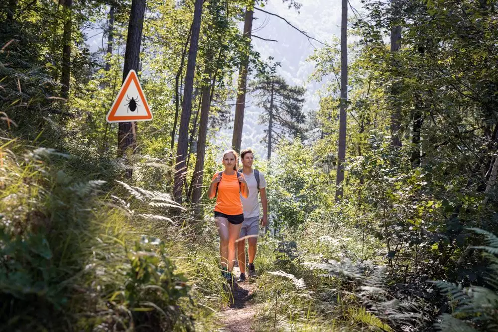 Životní pojištění a nemoci způsobené klíšťaty